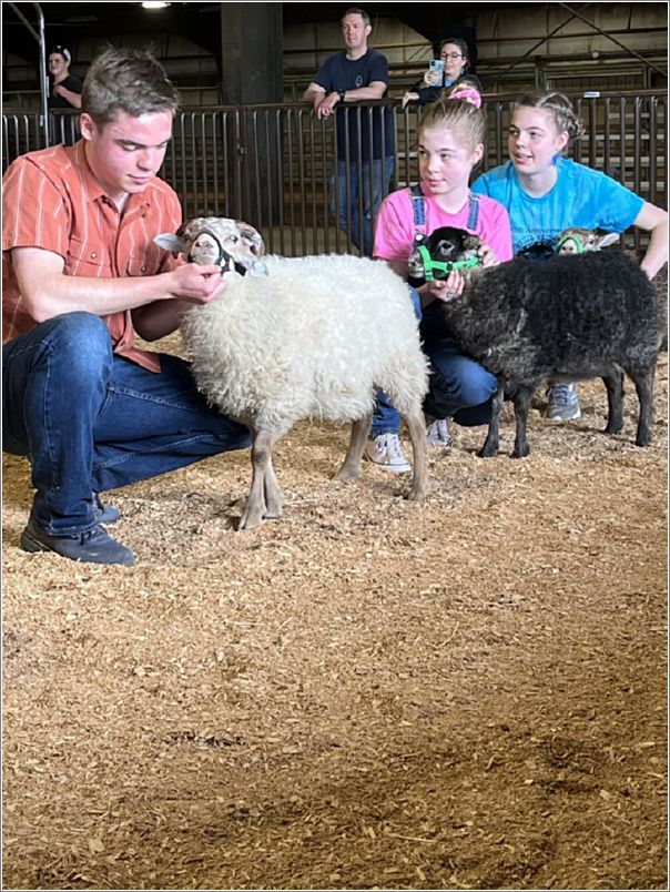 The Junior Show, novice class  Farrell Family, Duvall, Washington. Photo: Amy Wolf.